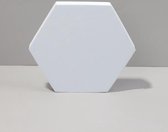 18 x 2 cm zeshoek geometrische kubus effen kleuren fotografie foto achtergrond tafel schieten schuim rekwisieten (wit)