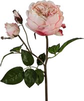 Viv! Home Luxuries David Austin roos - zijden bloem - lichtroze - topkwaliteit