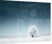 Boom in het sneeuwlandschap - Foto op Plexiglas - 90 x 60 cm