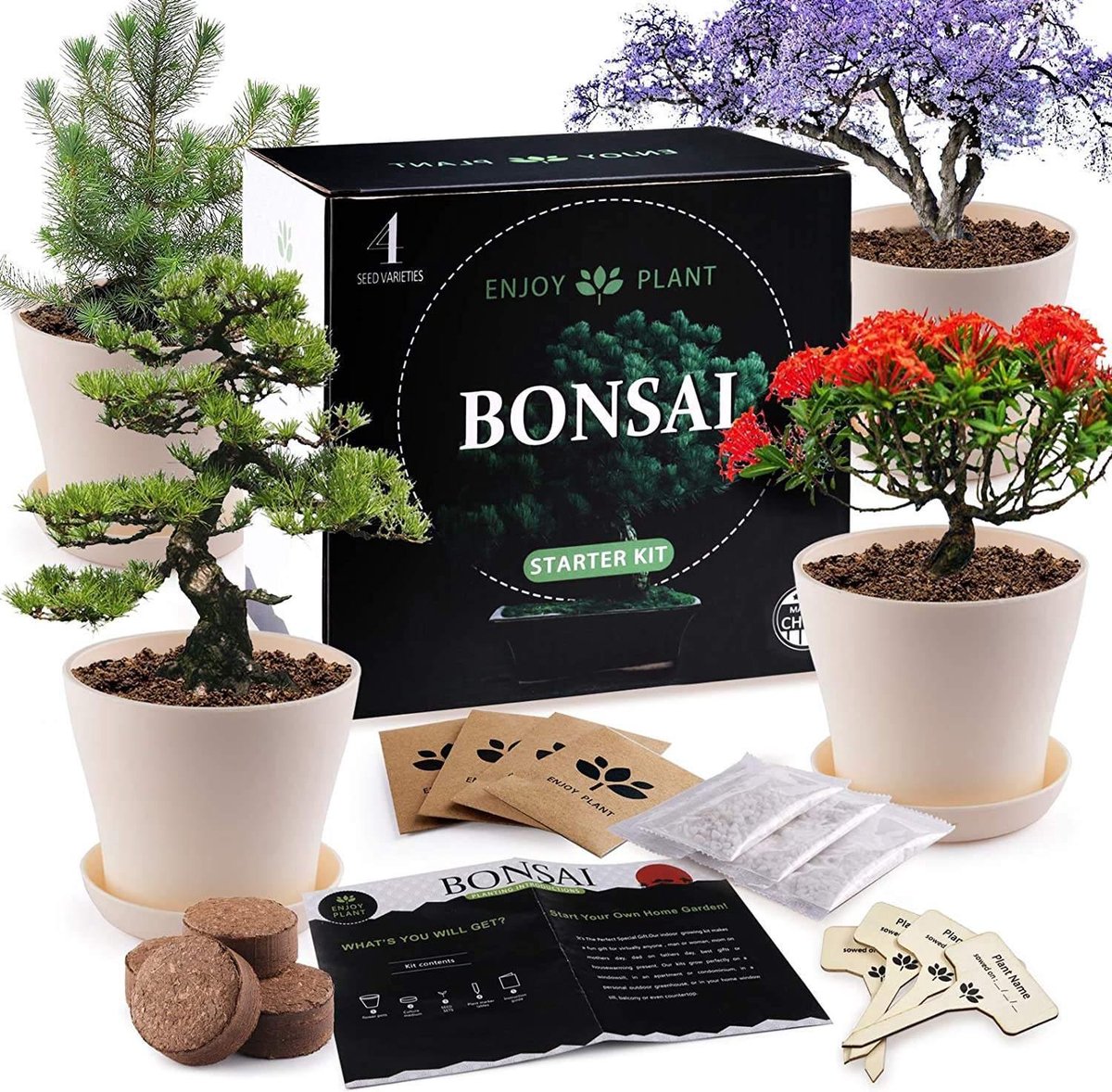 Bonsai Starters Kit - Bonsai Boompje - 5 Delige Set - 4 Soorten Zaden - Incl. E-book