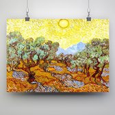 Poster olijfbomen met gele zon - Vincent van Gogh