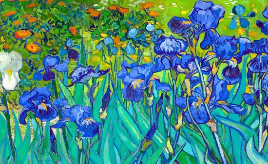 Affiche Iris - Vincent van Gogh - 70x50cm | bol