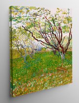 Canvas Bloeiende boomgaard - Vincent van Gogh - 50x70cm