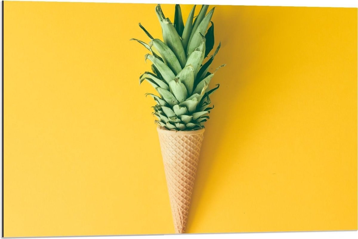 Dibond - IJshorentje met Bovenkant van Ananas - 90x60cm Foto op Aluminium (Met Ophangsysteem)