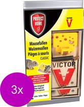 Protect Home Souricière Bois - Lutte antiparasitaire - 3 x 2 pièces
