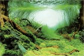 SuperFish Deco Poster Aquascape Plant 150X61cm