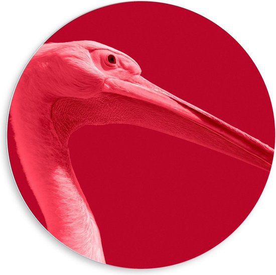 Forex Wandcirkel Rode Vogel met Lange Snavel op Rode Achtergrond 80x80cm Foto op... Forex Wandcirkel Rode Vogel met Lange Snavel op Rode Achtergrond 80x80cm Foto op...