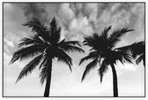 2 Palmbomen zwart wit - Foto op Akoestisch paneel - 90 x 60 cm