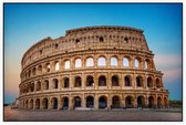 Verlaten Colosseum voor een blauw lucht in Rome - Foto op Akoestisch paneel - 120 x 80 cm