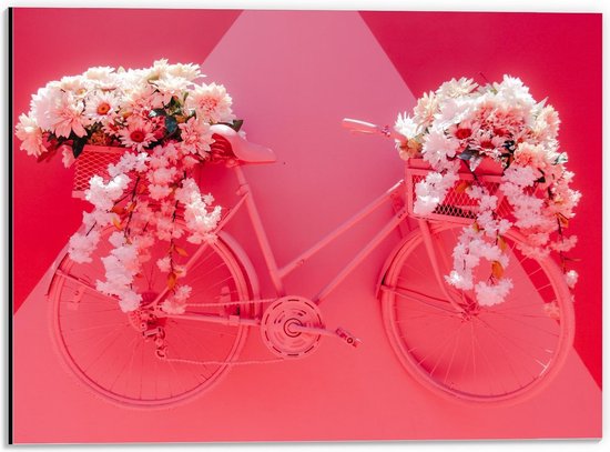 Dibond - Bloemen op Roze Fiets - 40x30cm Foto op Aluminium (Met Ophangsysteem)