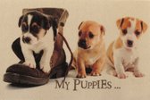 Ikado Deurmat foto 3 puppies 40 x 60 cm