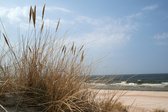 Tuinposter -  Zee - Strand  - 60 x 90 cm.