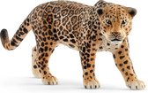 schleich WILD LIFE - Jaguar -Speelfiguur - Kinderspeelgoed voor Jongens en Meisjes - 3 tot 8 jaar - 14769