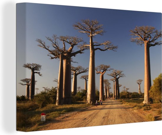Canvas Schilderij Uitzicht op onverharde weg genaamd Baobab Alley bij de Afrikaanse baobab bomen - 120x80 cm - Wanddecoratie