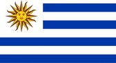 Vlag Uruguay 30x45cm