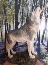 Wolvenbeeld huilende Wolf hoog groot /Geharo/ 35x25x11 cm