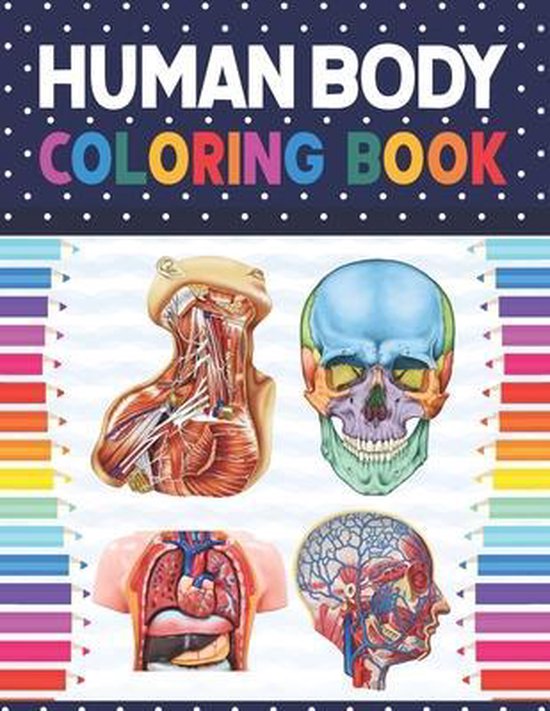 Human Body Coloring Book Human Body Anatomy Coloring Book For Kids