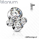 Dermal titanium top pootje afdruk wit 1.6mm