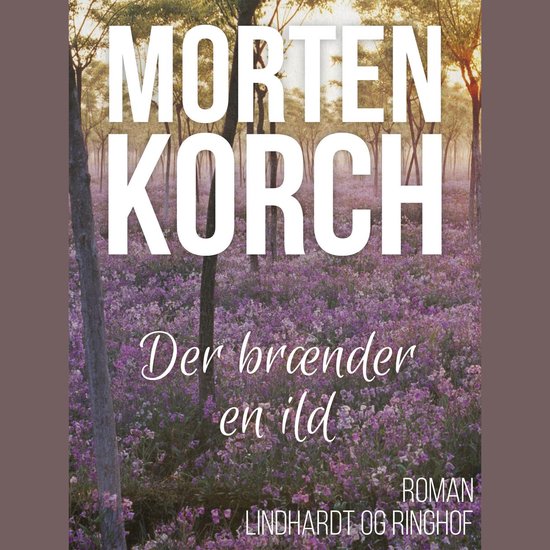 Der brænder en ild - cover