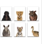 Schilderij  Set 6 Safari Baby Aapje Tijger Cheeta Nijlpaard Neushoorn Struisvogel - Kinderkamer - Dieren Schilderij - Babykamer / Kinder Schilderij - Babyshower Cadeau - Muurdecora