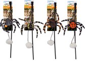AFP Naturel Spider Web Wand assorted Speelgoed voor katten - Kattenspeelgoed - Kattenspeeltjes