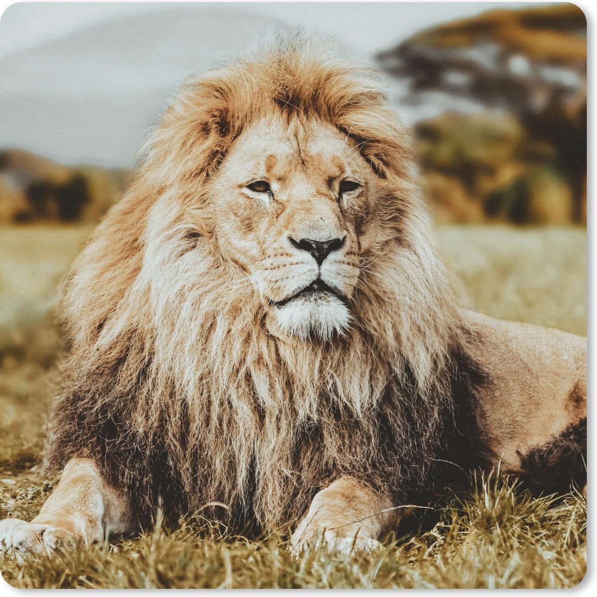 Muismat 30x30 cm - Mousepad Dieren - Wild - Bruin - Muismatten