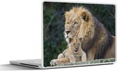 Laptop sticker - 14 inch - Portret - Leeuwen - Wilde dieren - 32x5x23x5cm - Laptopstickers - Laptop skin - Cover