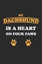 My Dachshund is a heart on four paws