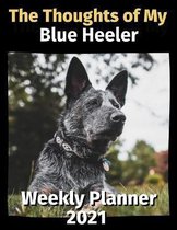 The Thoughts of My Blue Heeler