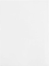 Milieuvriendelijke Zakjes Bioplastic 125x167mm - 100 st