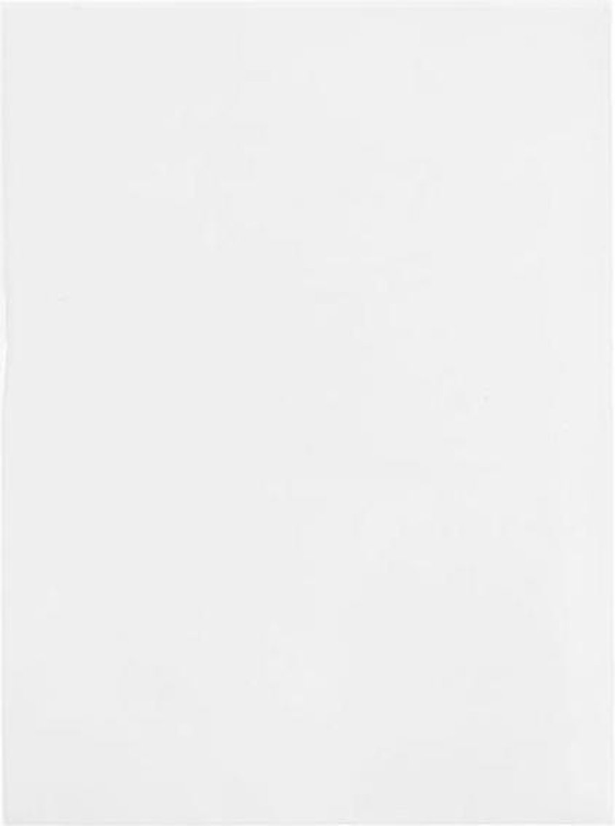 Goedkoopste Milieuvriendelijke Zakjes Bioplastic 125x167mm - 100 st