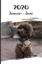Kalender 2020