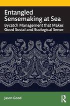 Entangled Sensemaking at Sea