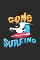 Gone surfing