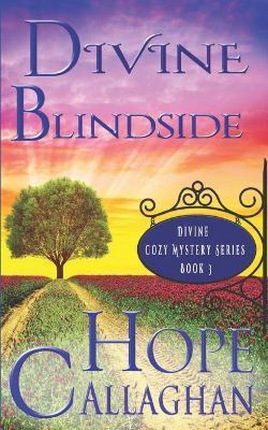Divine Mystery- Divine Blindside - cover