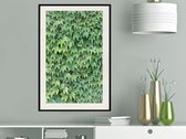 Poster - Hidden-20x30