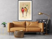 Poster - Ornithologist's Drawings-20x30