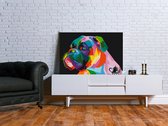 Doe-het-zelf op canvas schilderen - Colourful Boxer-60x40