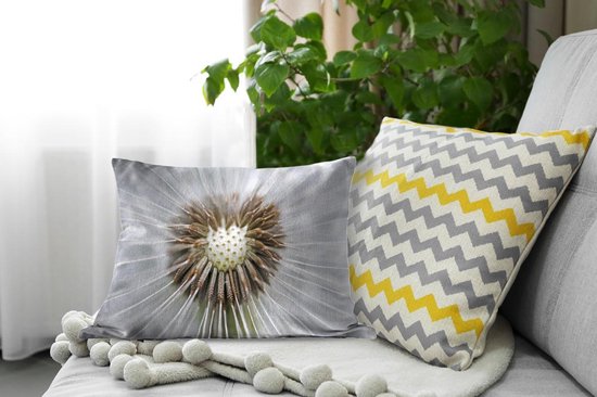 Sierkussen Graines de pissenlit pour usage intérieur - Il manque quelques graines de pissenlit - 50x30 cm - Coussin intérieur rectangulaire en coton