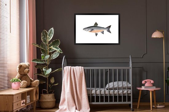 Poisson hareng sur fond blanc 90x60 cm