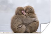 Knuffelende apen vrienden 30x20 cm - klein - Foto print op Poster (wanddecoratie woonkamer / slaapkamer)
