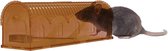 Knock Off Diervriendelijke Rattenval – Lokdoos voor ratten – Voor gebruik met lokpasta – Gifvrij – Ook geschikt voor het monitoren van ratten – Meervoudig te gebruiken