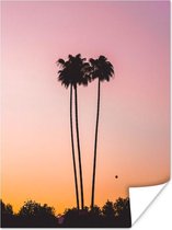 Palmbomen uit Californië poster papier 120x160 cm - Foto print op Poster (wanddecoratie woonkamer / slaapkamer) / Landschappen Poster XXL / Groot formaat!