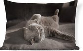 Sierkussen' intérieur Animal Day - Chat sur une chaise grise - 60x40 cm - Coussin intérieur rectangulaire en coton