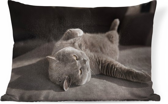 Sierkussens - Kussen - Kat op een grijze stoel - 60x40 cm - Kussen van katoen