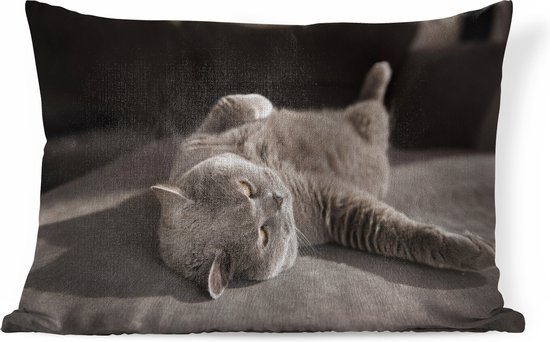 Sierkussen' intérieur Animal Day - Chat sur une chaise grise - 60x40 cm - Coussin intérieur rectangulaire en coton