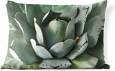 Buitenkussens - Tuin - Detailfoto van een mintgroene cactus - 50x30 cm