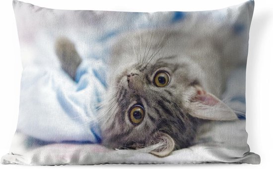 Buitenkussens - Tuin - Kat liggend op lichtblauwe deken - 60x40 cm