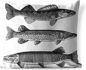 Buitenkussens - Tuin - Een illustratie van drie vissen - 45x45 cm