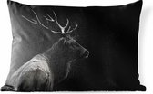 Buitenkussens - Tuin - Zwart-wit foto van een hert - 60x40 cm